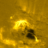 Solar flare (171Å/MDI)