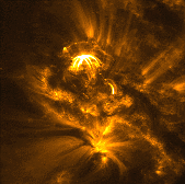 Solar flare (171Å)