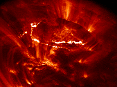Activation/eruption of a ring-shaped filament