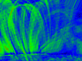 Temperature (filter ratio)