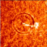 rings around flare site